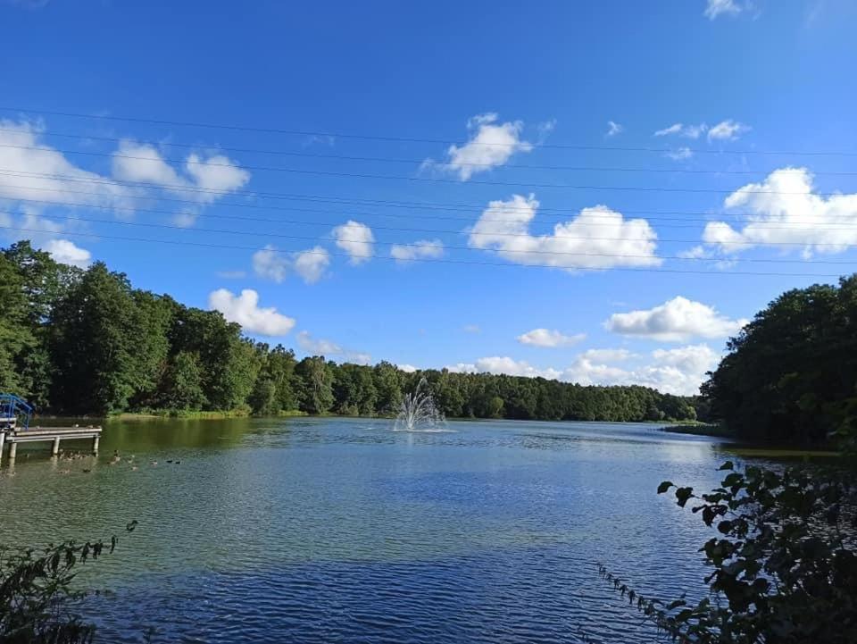 *Dana Pokoje Goscinne Gdansk Exterior photo